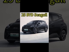 Coches eléctricos chinos