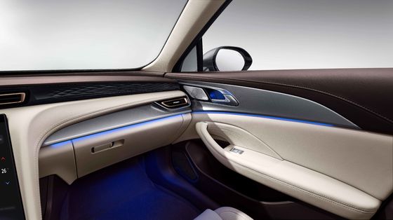 MPV eléctrico chino de 6 plazas con conducción asistida L2