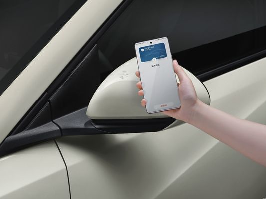 2025 BYD Seagull, conducción inteligente mejorada, configuración de seguridad mejorada.